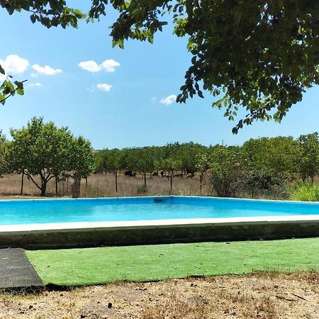 Rod Ranch Livestock - Stanza Doppia Con Letti Singoli Villa กัมปาญญาโน ดิ โรมา ภายนอก รูปภาพ