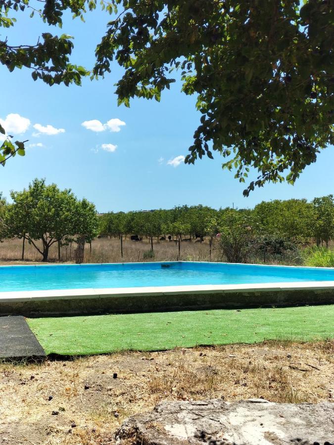 Rod Ranch Livestock - Stanza Doppia Con Letti Singoli Villa กัมปาญญาโน ดิ โรมา ภายนอก รูปภาพ